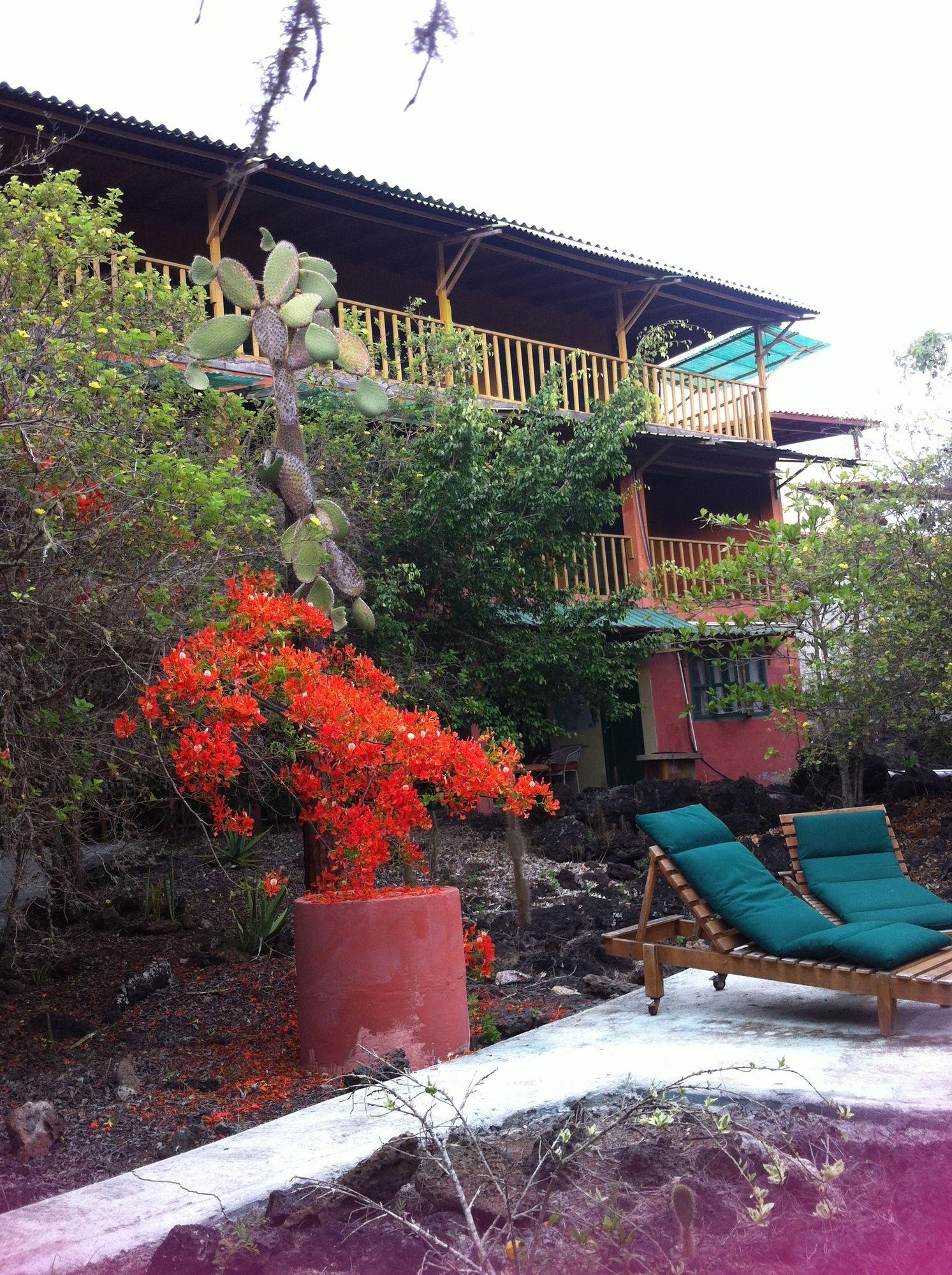 Galapagos Chalet Puerto Ayora  Eksteriør bilde